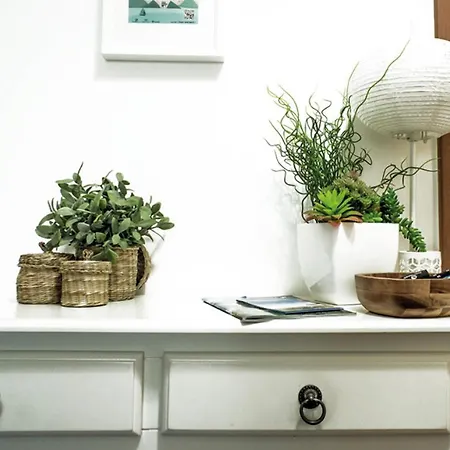 Trendy Apartman Funchal